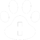 farmaci animali montegrotto terme